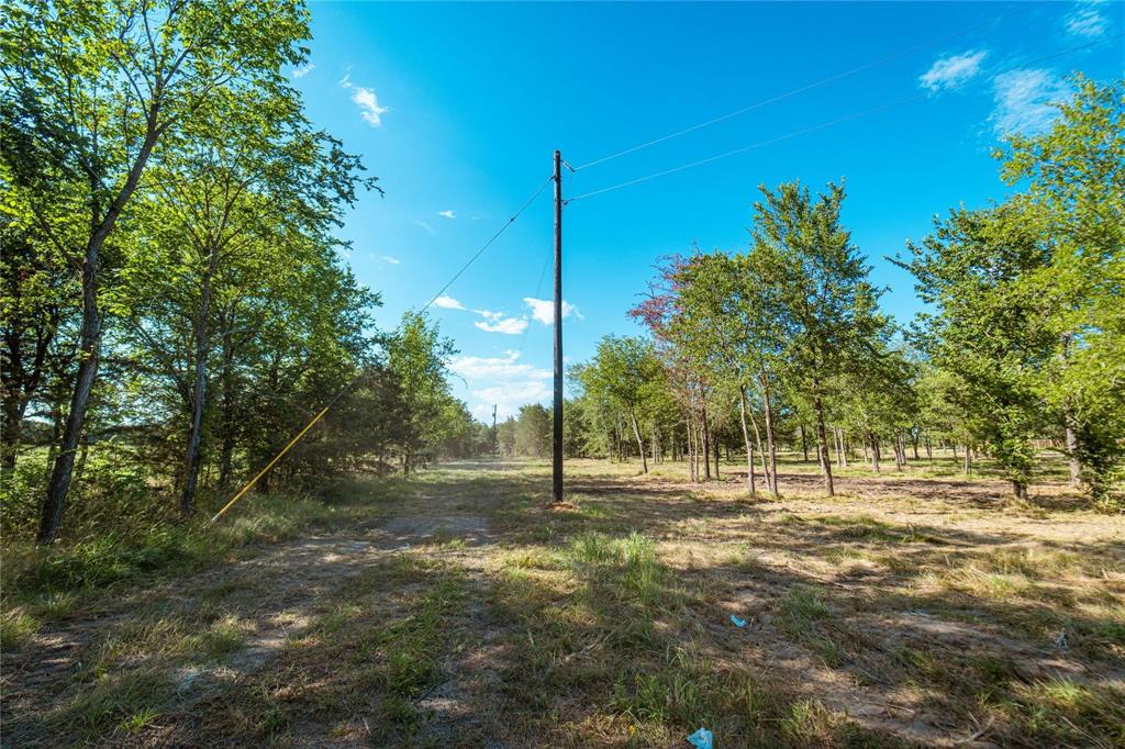 Lot 3 Cr 297 Property Photo 11