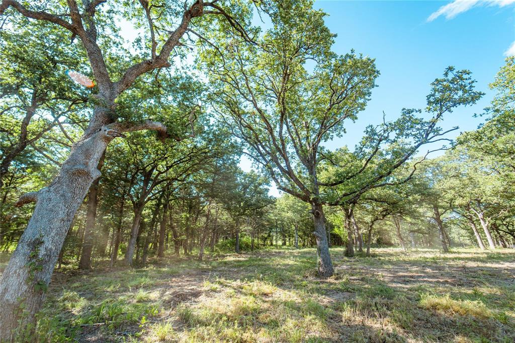 Lot 3 Cr 297 Property Photo 13