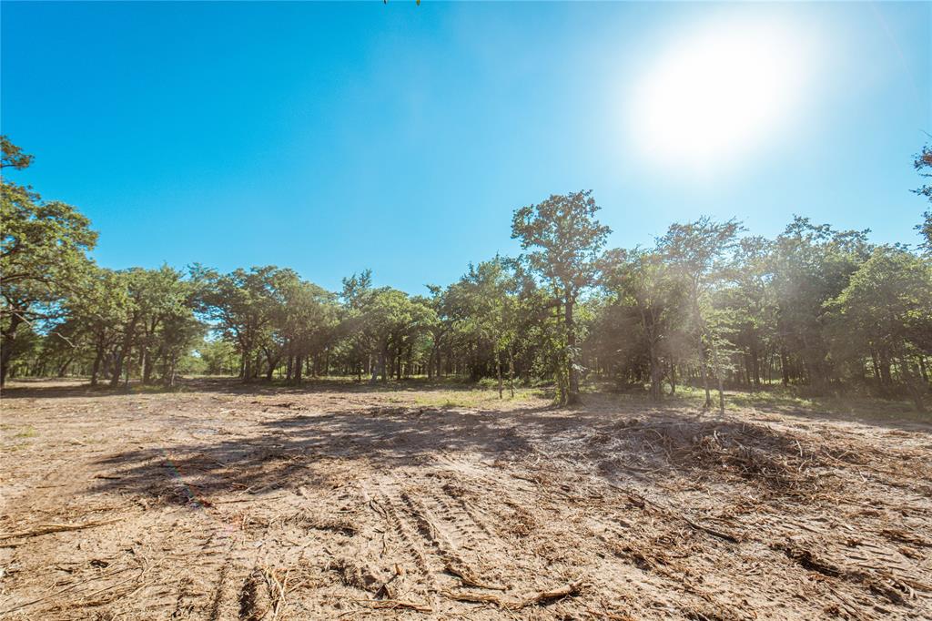 Lot 8 Cr 297 Property Photo 14
