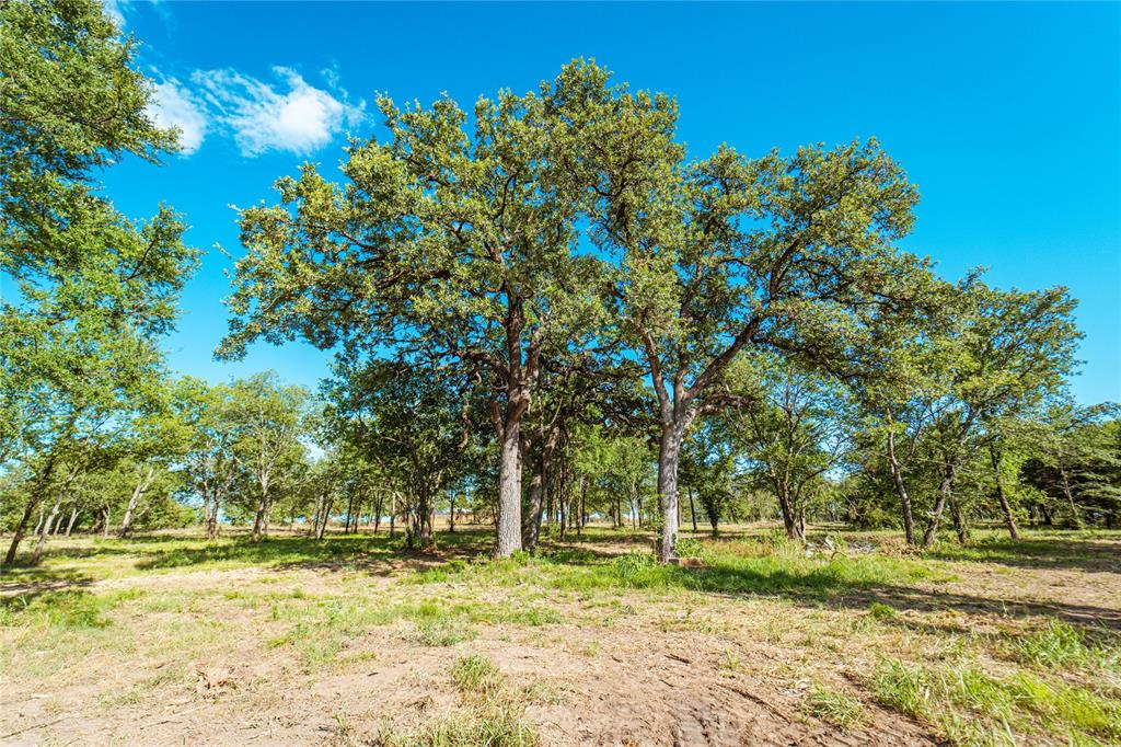 Lot 8 Cr 297 Property Photo 16