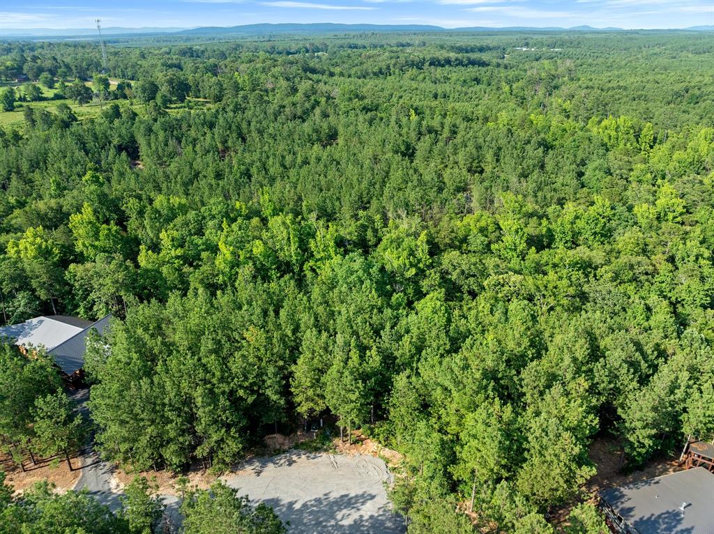 66 Aged Acacia Trail Property Photo 2