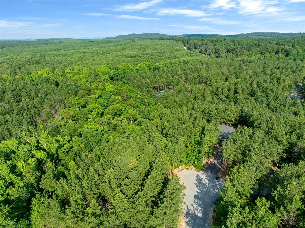 66 Aged Acacia Trail Property Photo 5
