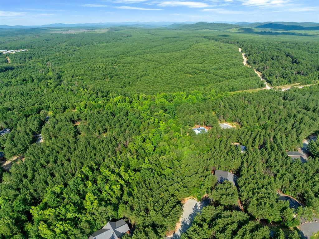 66 Aged Acacia Trail Property Photo 4