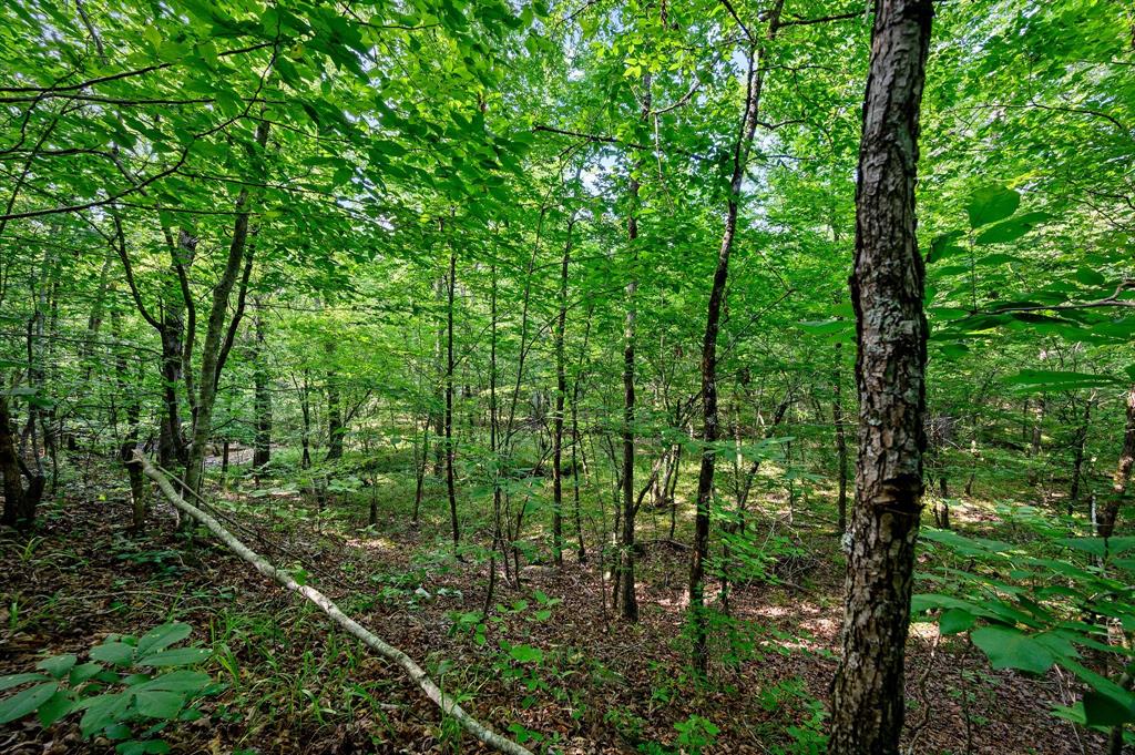 66 Aged Acacia Trail Property Photo 7