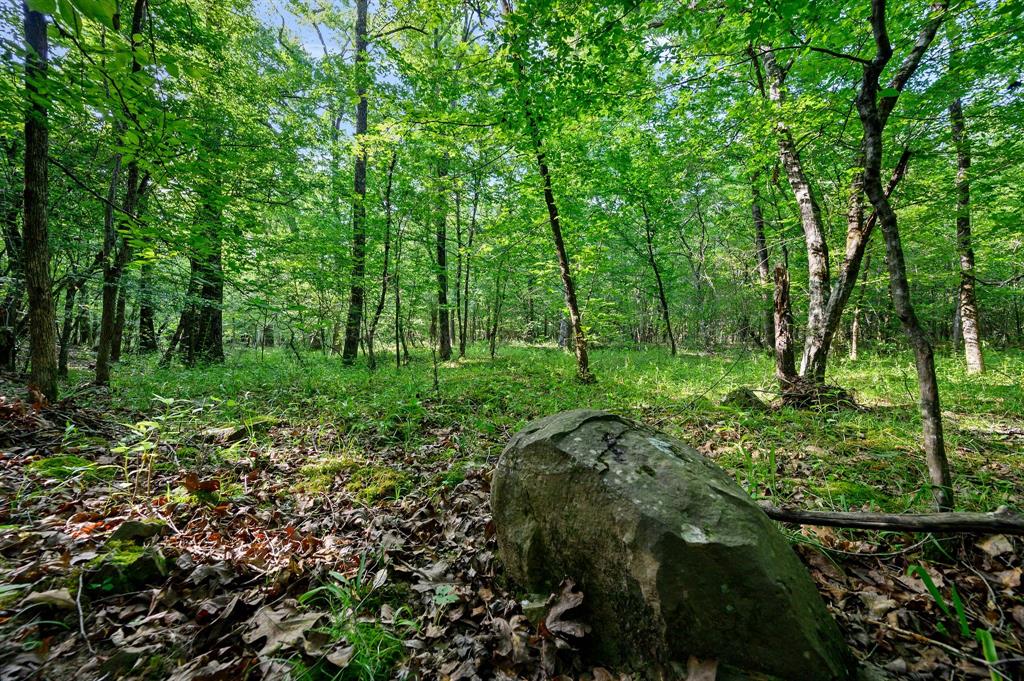 66 Aged Acacia Trail Property Photo 9