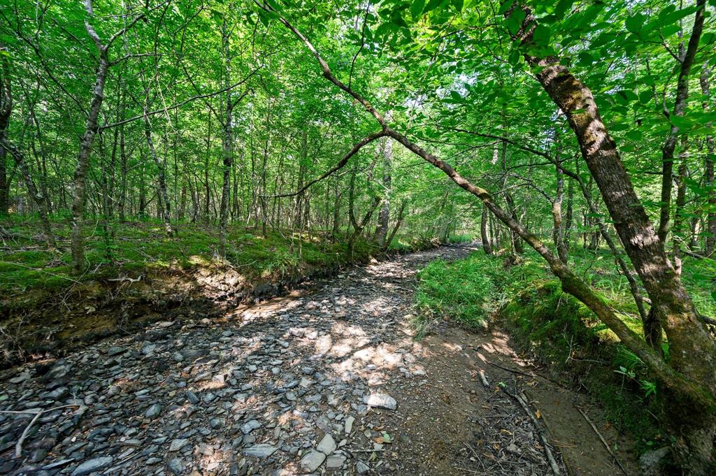 66 Aged Acacia Trail Property Photo 12