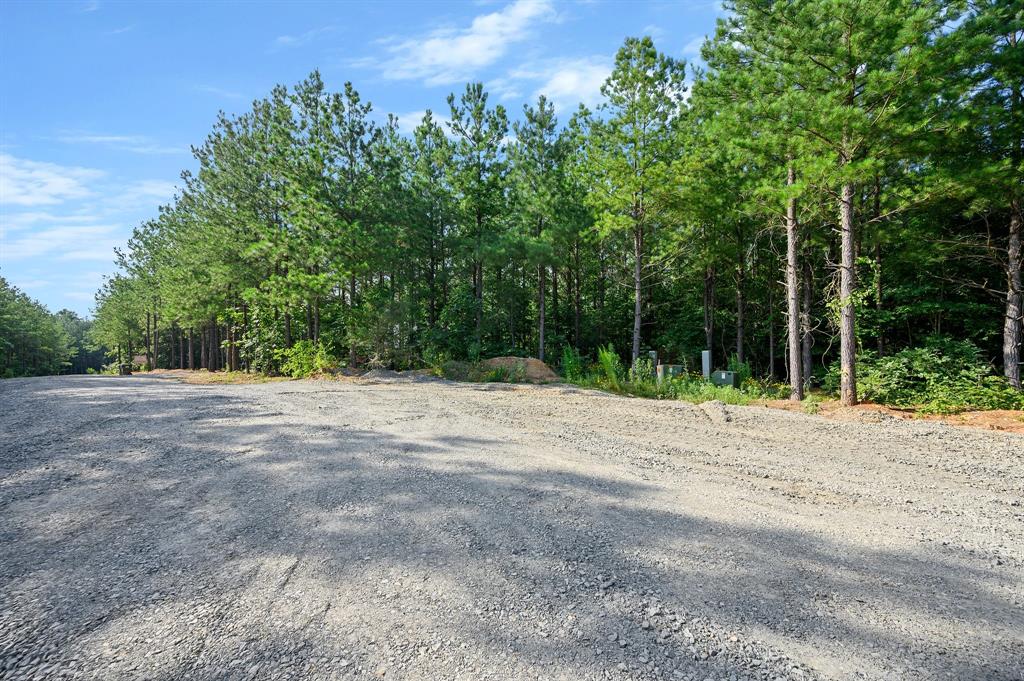 66 Aged Acacia Trail Property Photo 13