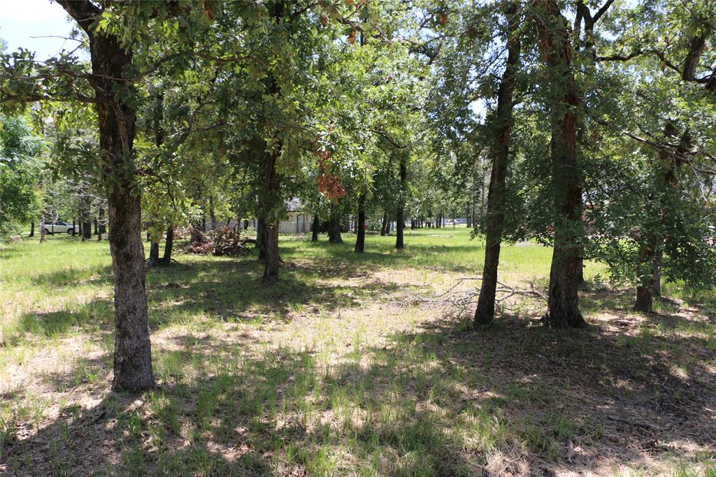 6 Deer Run Property Photo 3