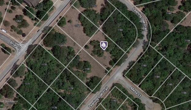 1181 Leaning Oak Trail Property Photo 1