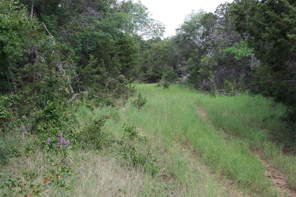 464 Upper Brad Road Property Photo 6