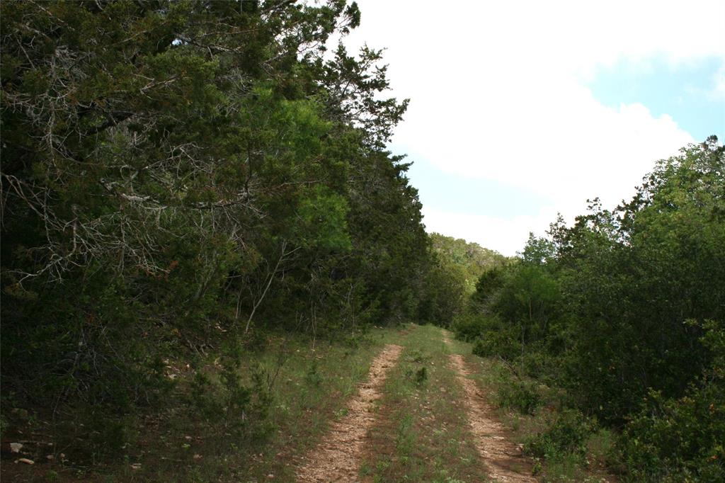 464 Upper Brad Road Property Photo 7