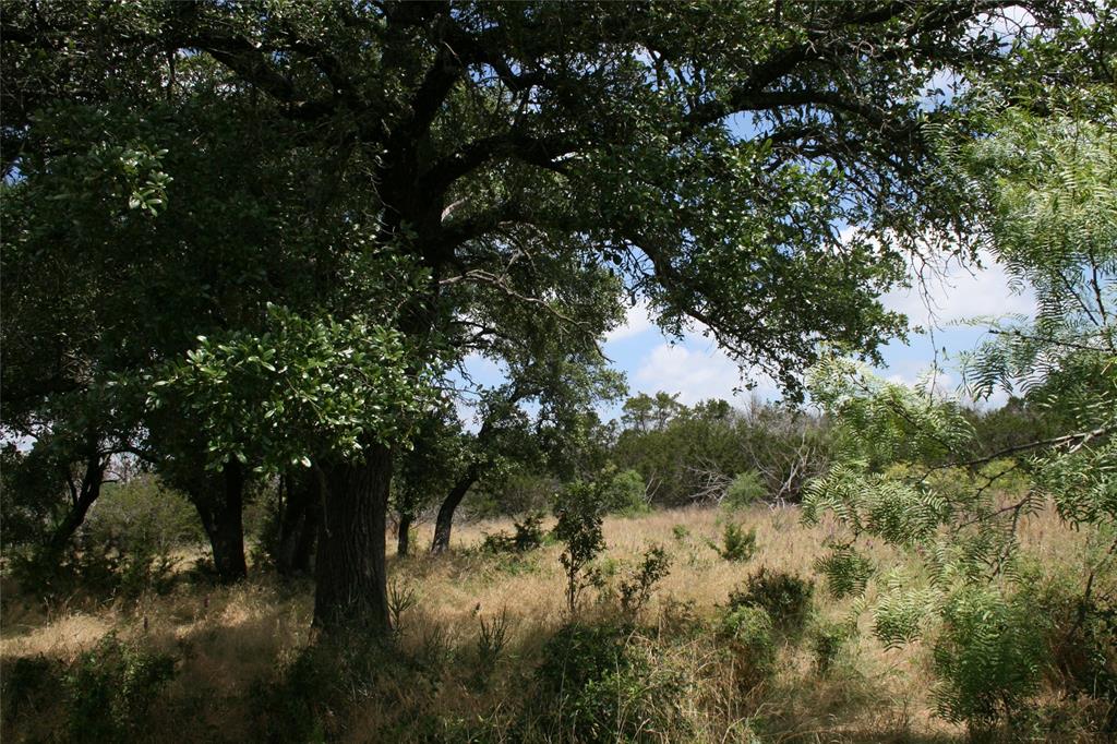 464 Upper Brad Road Property Photo 14