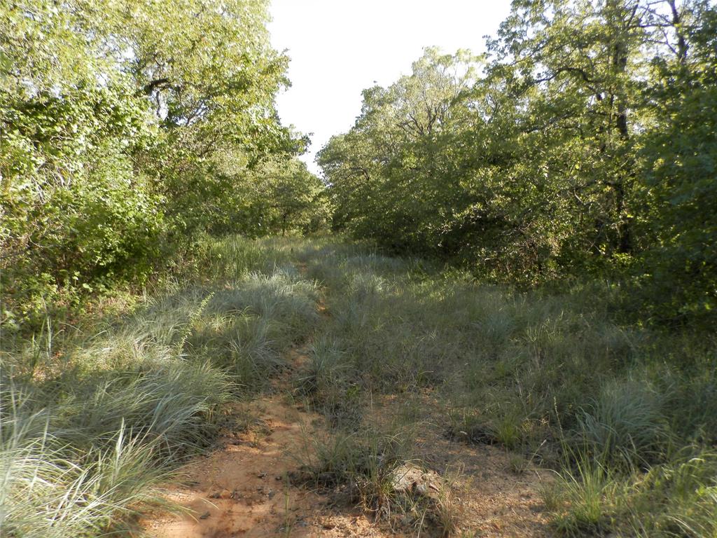 524 County Road 1792 Property Photo 3