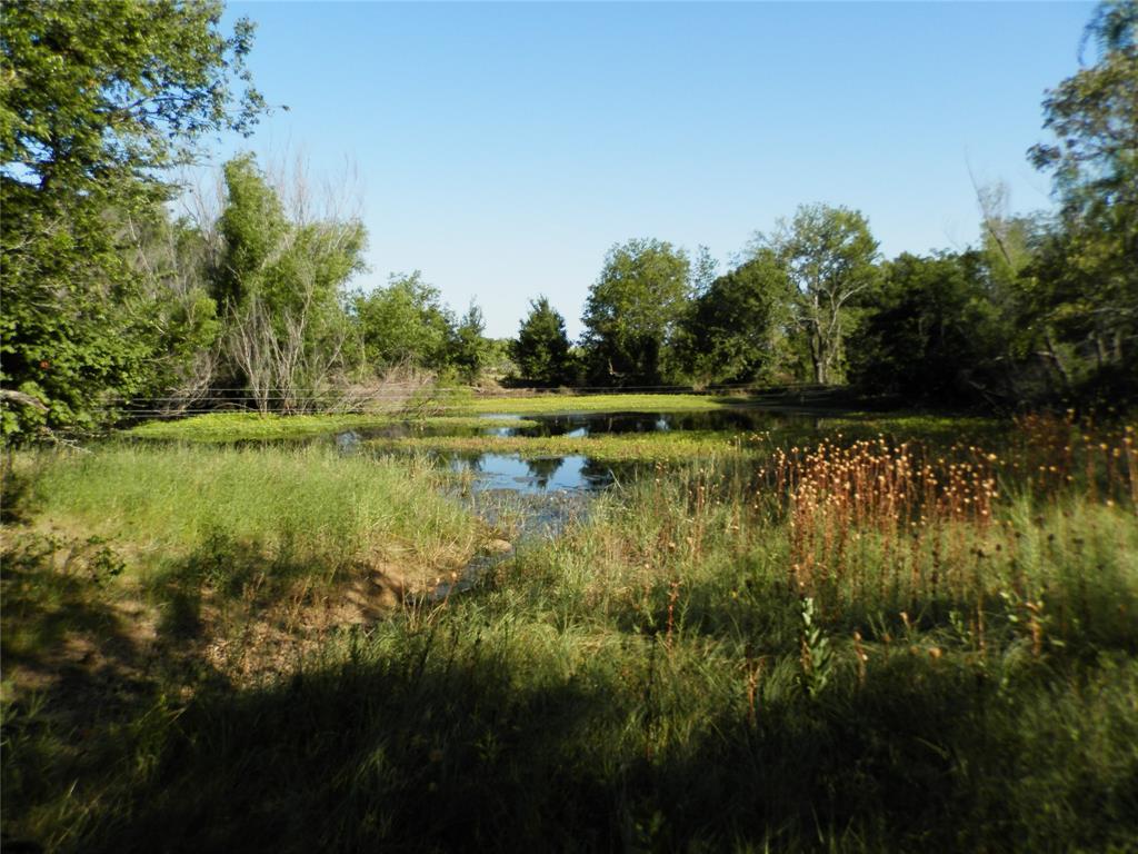 524 County Road 1792 Property Photo 9