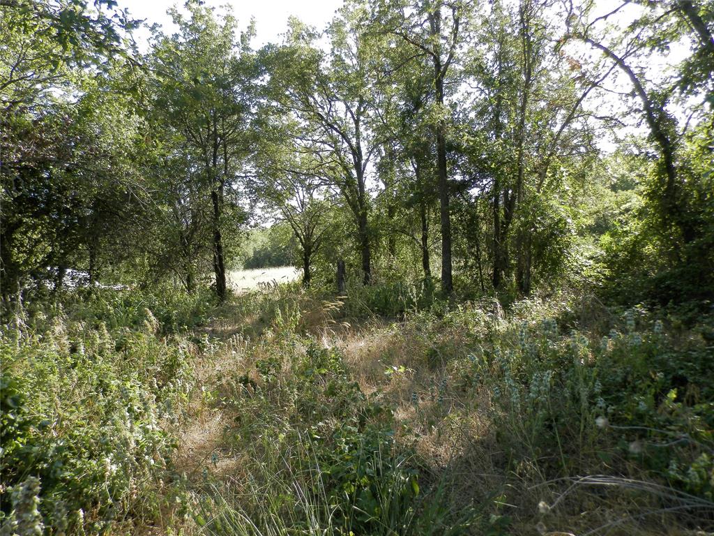 524 County Road 1792 Property Photo 25