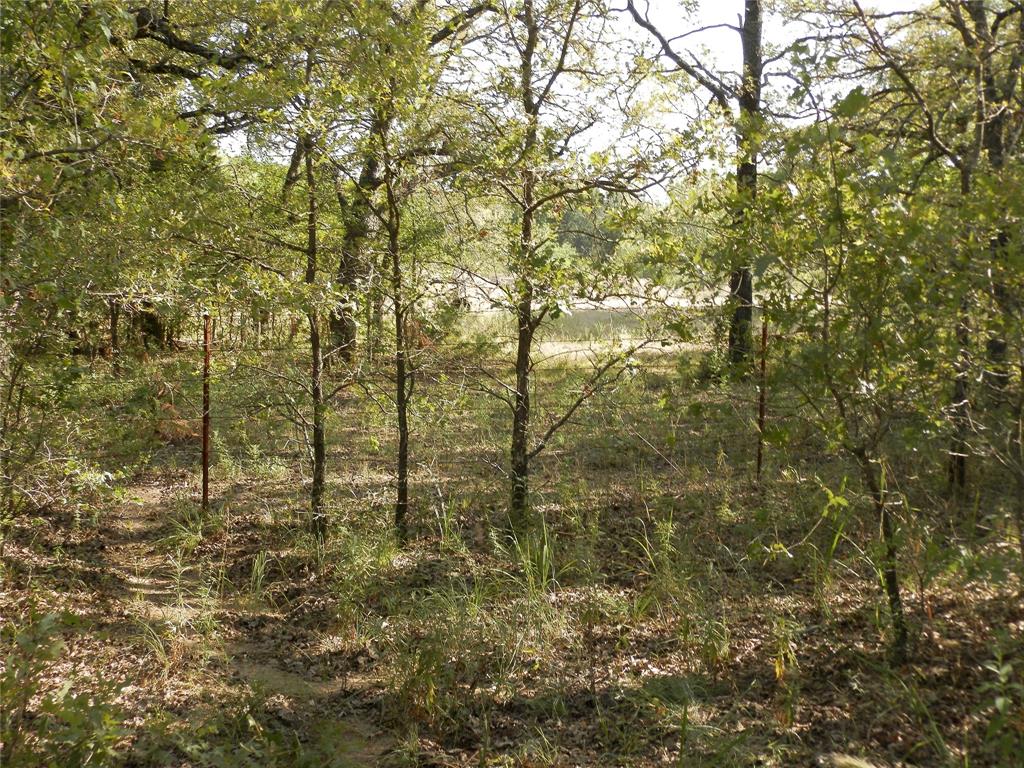 524 County Road 1792 Property Photo 27