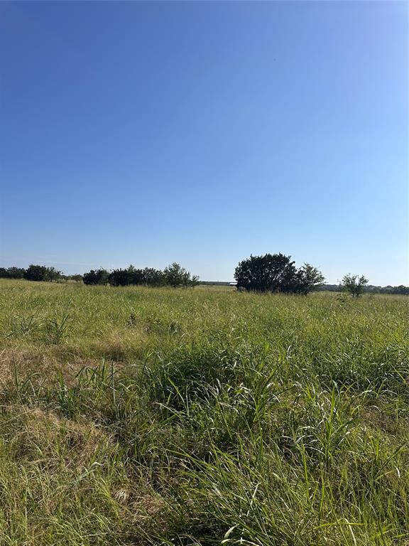 482 County Road 2655 Property Photo 10