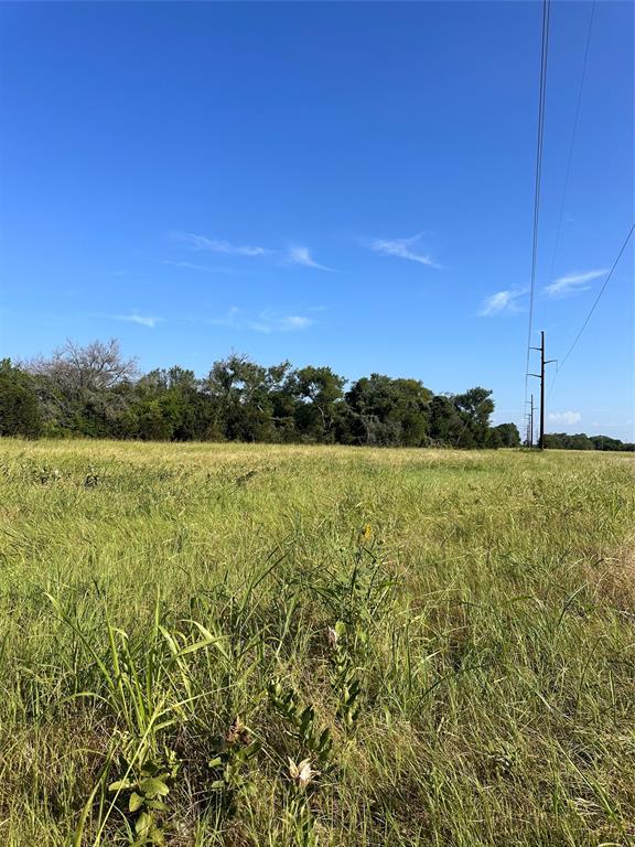 482 County Road 2655 Property Photo 11