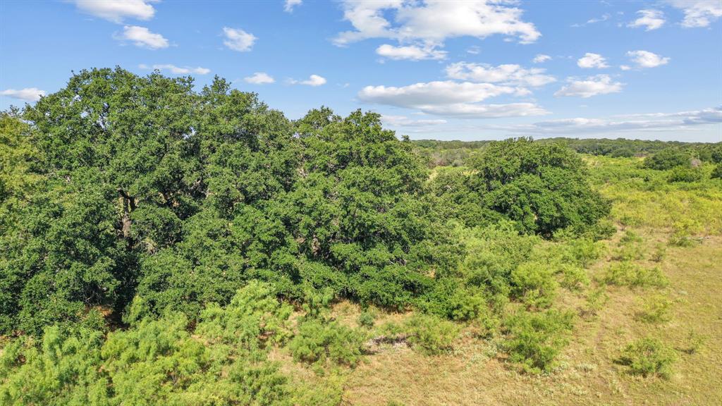 10701 Hutchinson Road Property Photo 36