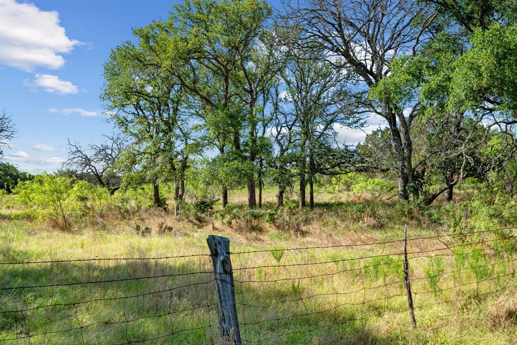 10701 Hutchinson Road Property Photo 37