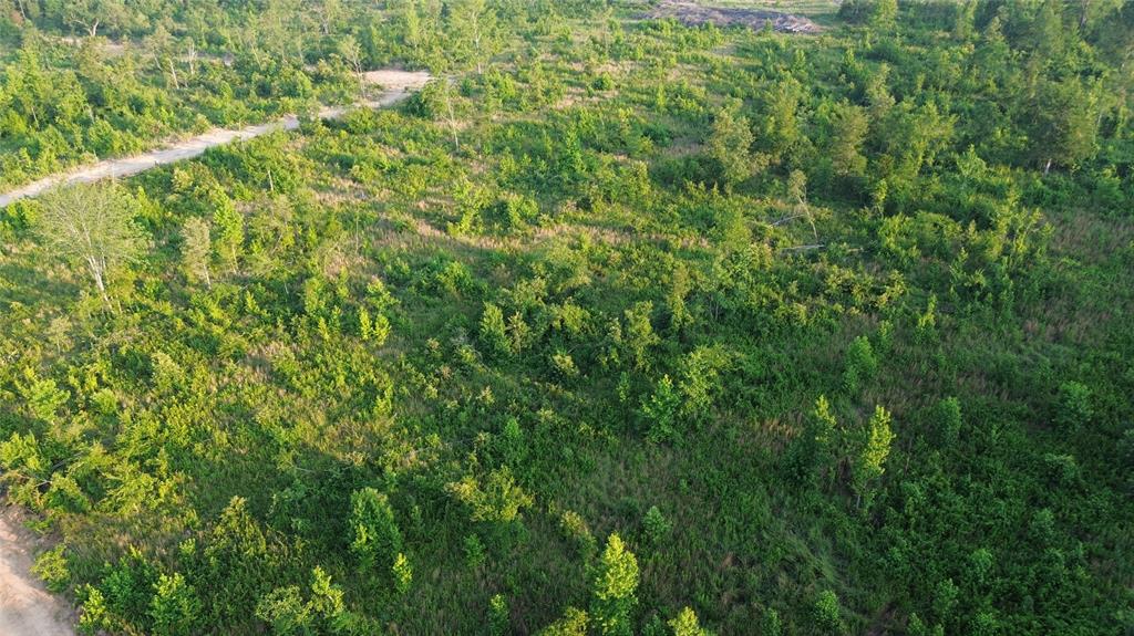 40 Acres Ross Mountain Road Property Photo 2
