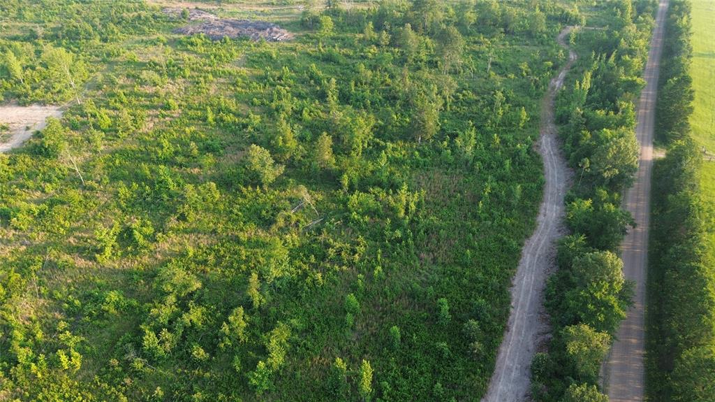 40 Acres Ross Mountain Road Property Photo 3