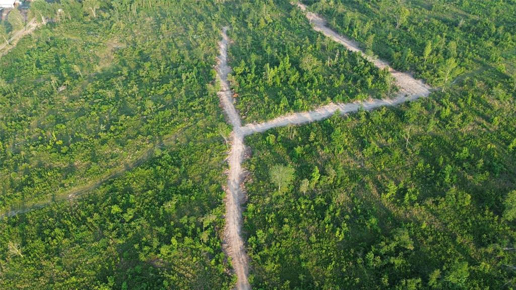 40 Acres Ross Mountain Road Property Photo 5