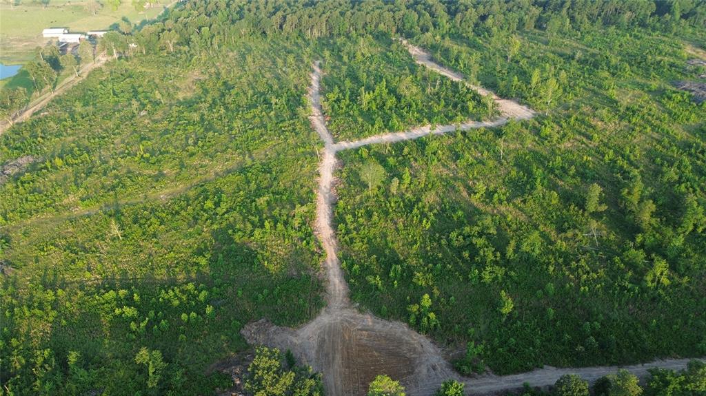 40 Acres Ross Mountain Road Property Photo 6