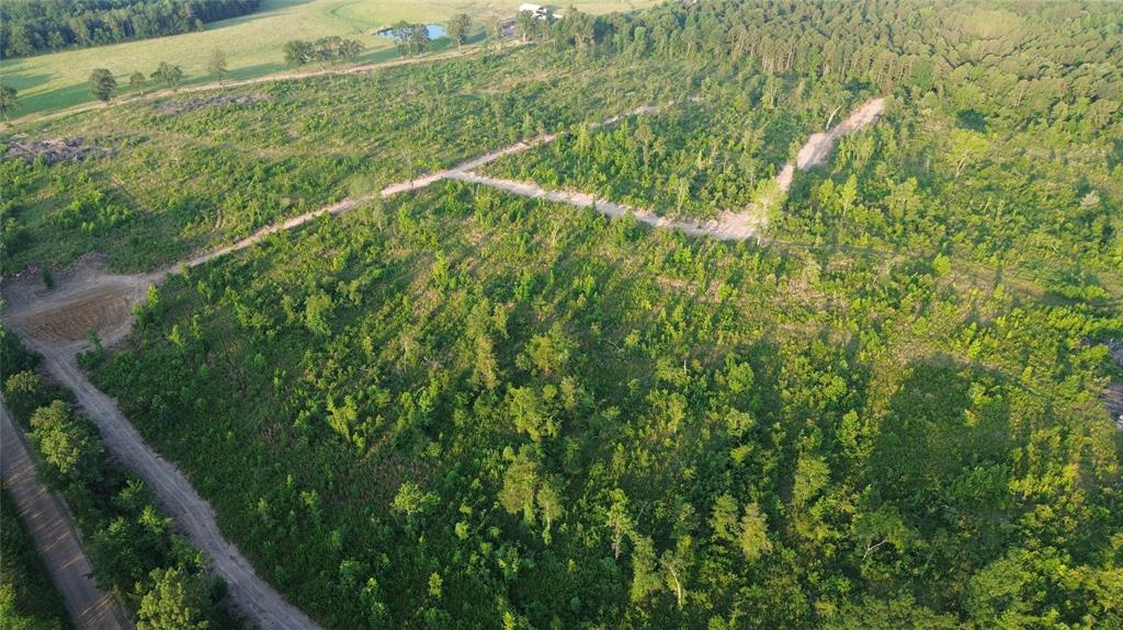 40 Acres Ross Mountain Road Property Photo 9