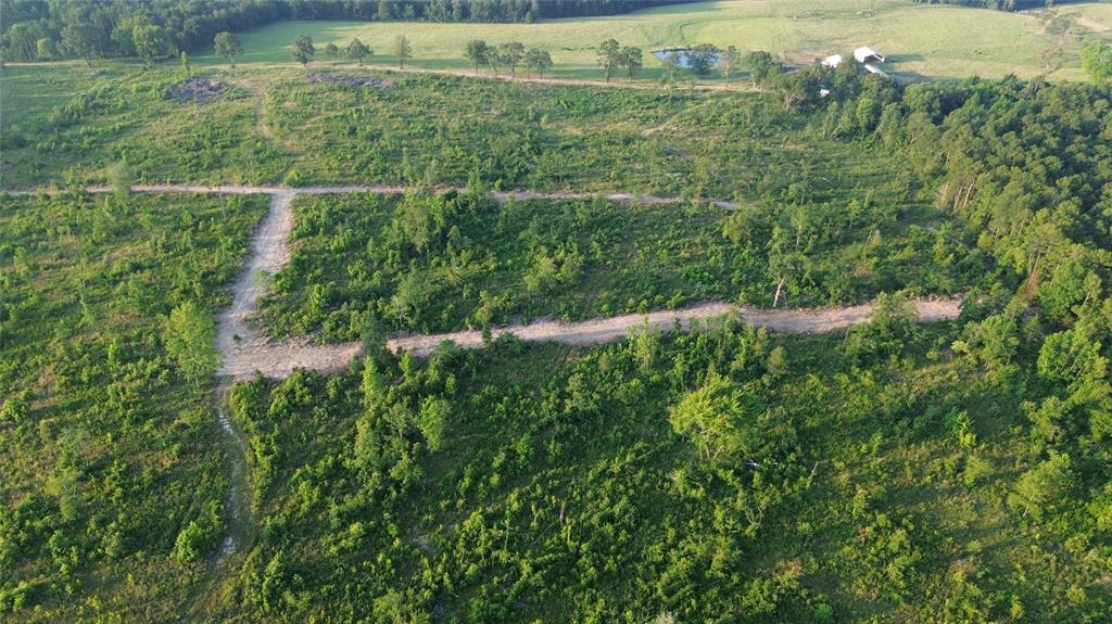 40 Acres Ross Mountain Road Property Photo 10