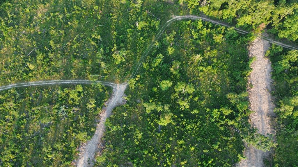 40 Acres Ross Mountain Road Property Photo 11