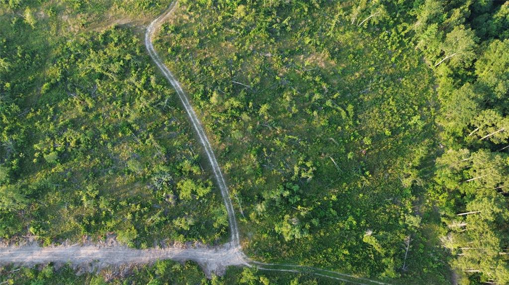40 Acres Ross Mountain Road Property Photo 12