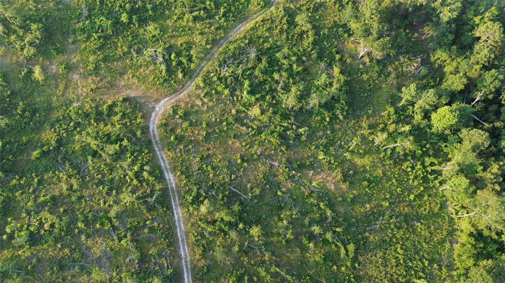 40 Acres Ross Mountain Road Property Photo 13
