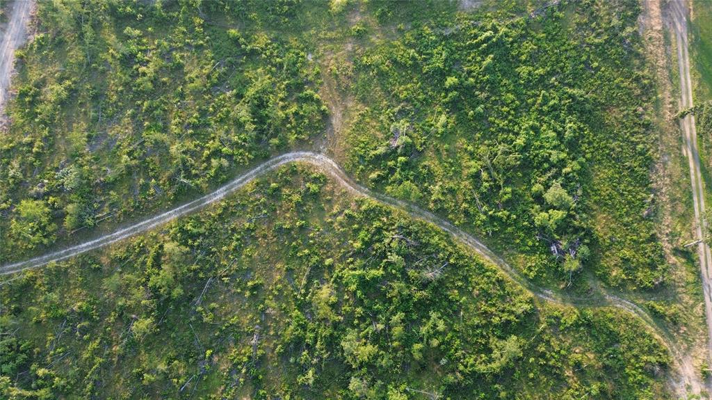 40 Acres Ross Mountain Road Property Photo 14