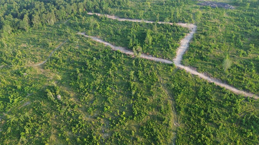 40 Acres Ross Mountain Road Property Photo 15