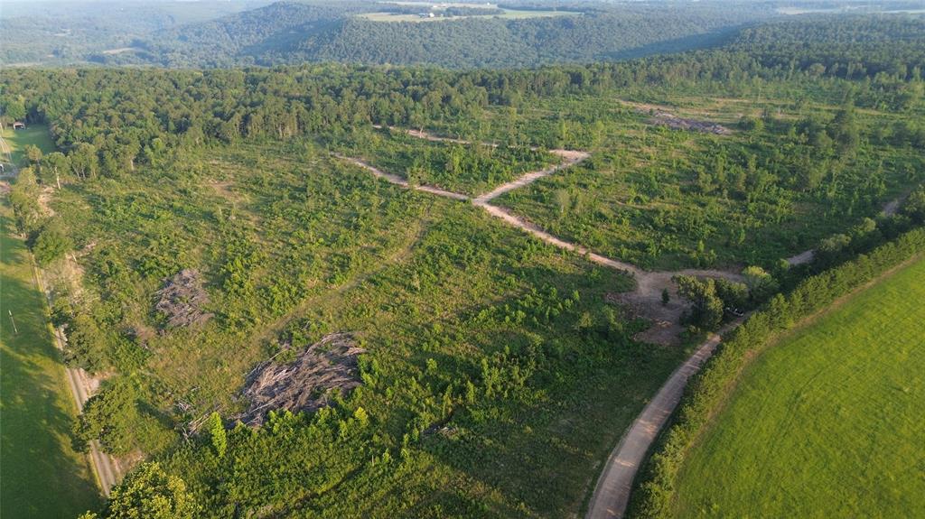 40 Acres Ross Mountain Road Property Photo 16