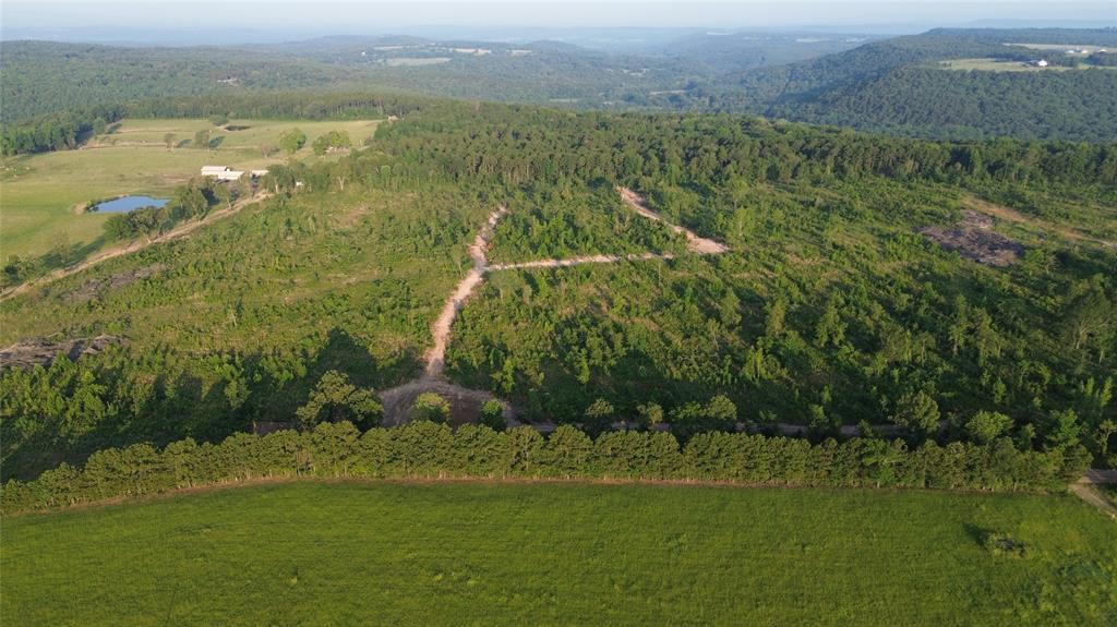 40 Acres Ross Mountain Road Property Photo 17