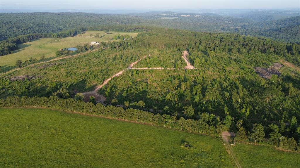 40 Acres Ross Mountain Road Property Photo 18