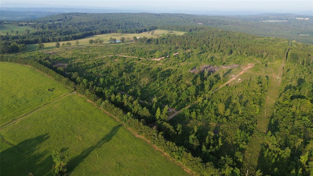 40 Acres Ross Mountain Road Property Photo 19