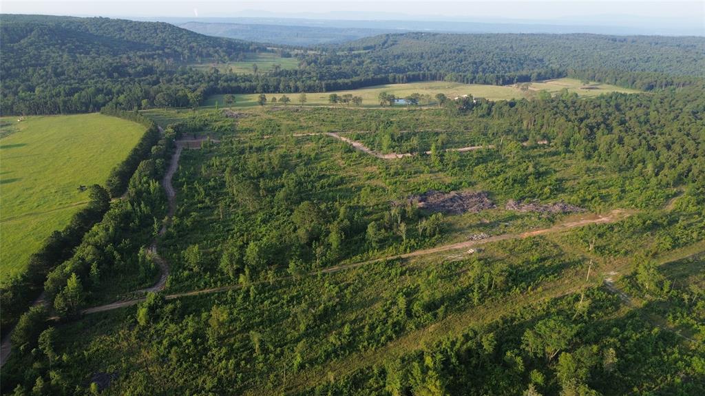 40 Acres Ross Mountain Road Property Photo 20