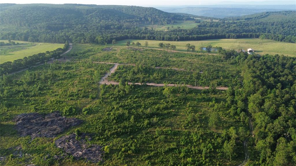 40 Acres Ross Mountain Road Property Photo 21