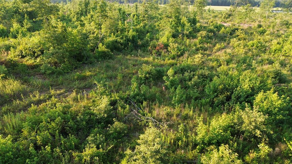 40 Acres Ross Mountain Road Property Photo 22