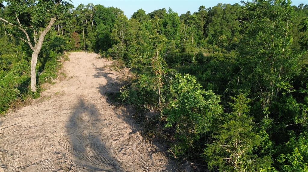 40 Acres Ross Mountain Road Property Photo 25