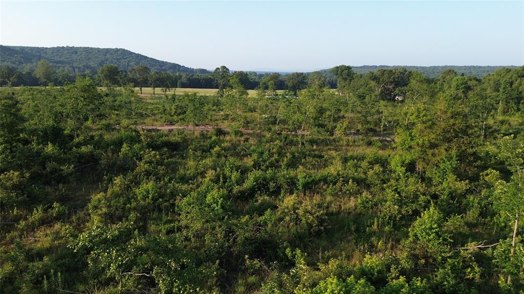 40 Acres Ross Mountain Road Property Photo 26