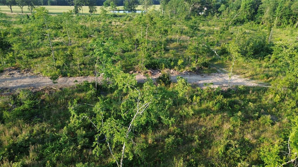 40 Acres Ross Mountain Road Property Photo 27