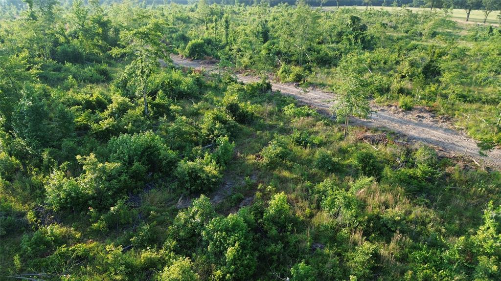 40 Acres Ross Mountain Road Property Photo 28