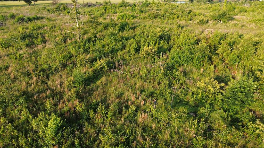 40 Acres Ross Mountain Road Property Photo 29