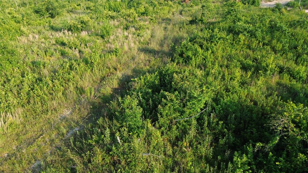 40 Acres Ross Mountain Road Property Photo 30