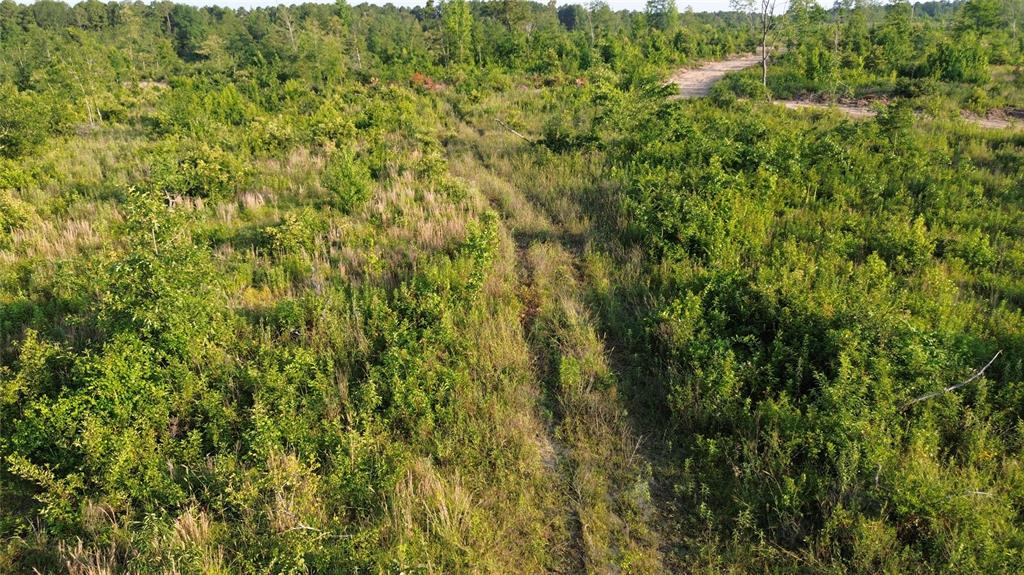 40 Acres Ross Mountain Road Property Photo 31