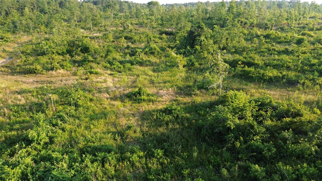 40 Acres Ross Mountain Road Property Photo 32